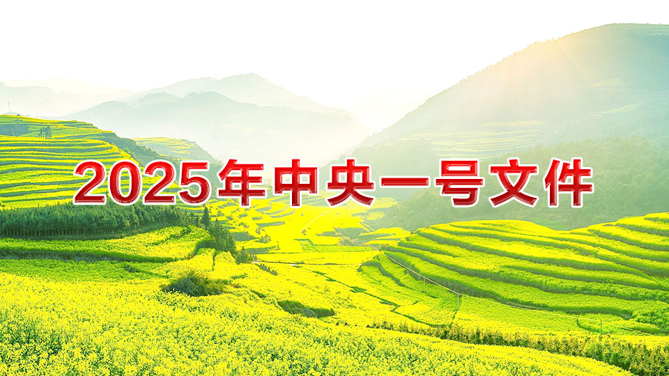 微信圖片_20250224104004.jpg