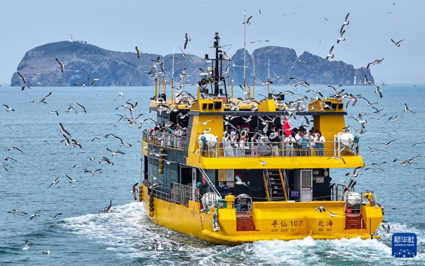 游客乘船出海與海鳥互動(dòng).jpg